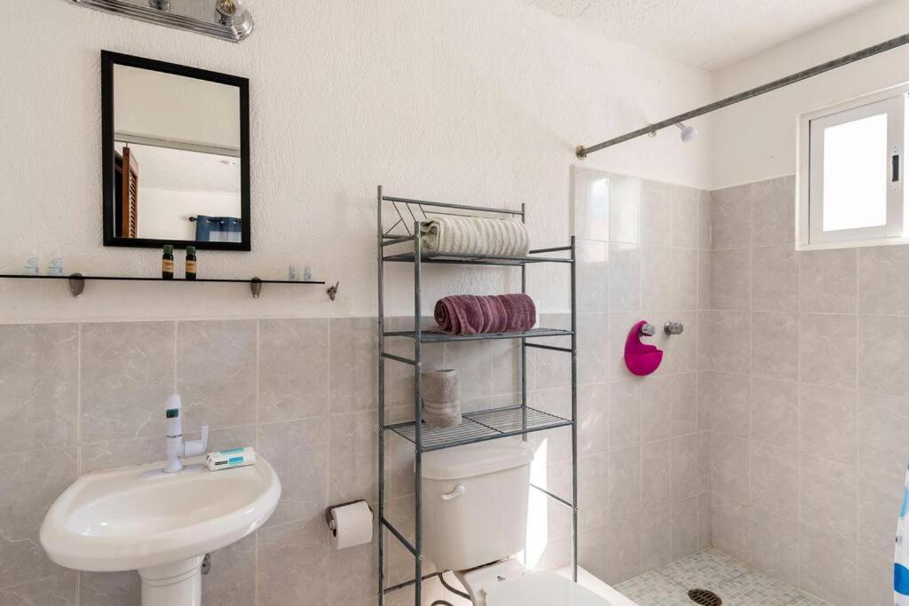 Micro Studio Perfect For Backpackers, Couples, 3 Min Drive To Playa El Nino Cancun Ngoại thất bức ảnh
